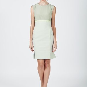Sheath Dress